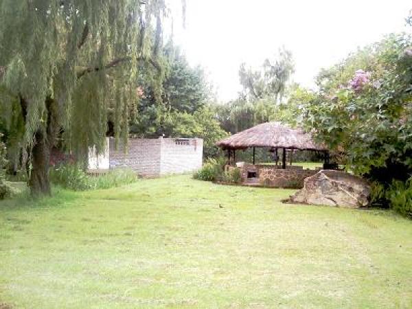 HF01photo1.jpg